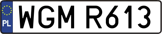 WGMR613