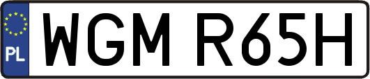 WGMR65H