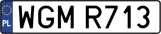 WGMR713