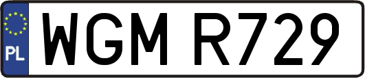 WGMR729