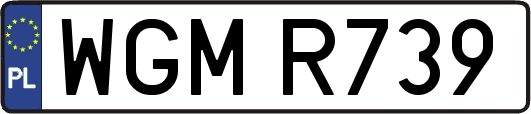 WGMR739