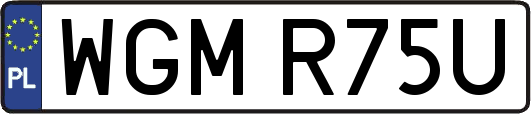 WGMR75U