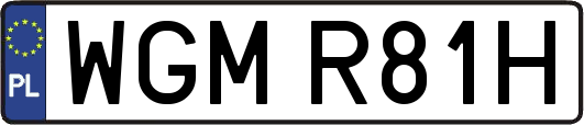 WGMR81H