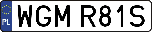 WGMR81S