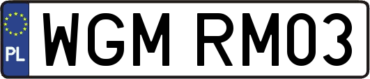 WGMRM03