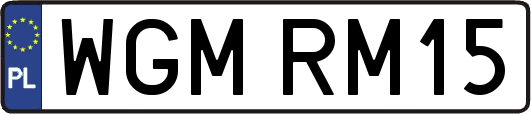 WGMRM15