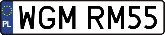 WGMRM55