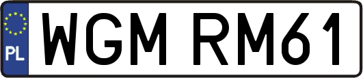 WGMRM61
