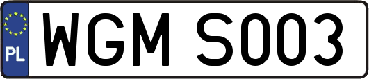WGMS003