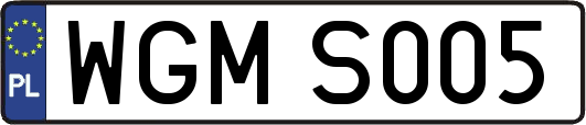 WGMS005