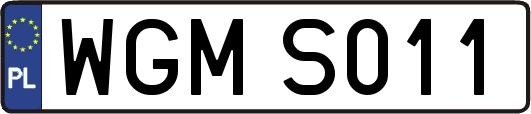 WGMS011