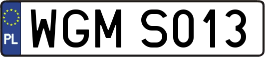 WGMS013