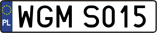 WGMS015