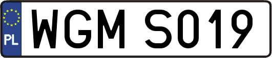 WGMS019