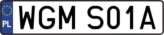 WGMS01A