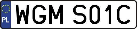 WGMS01C