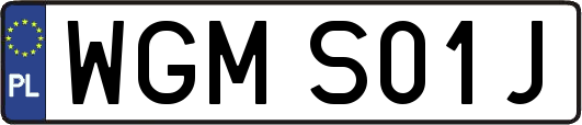 WGMS01J