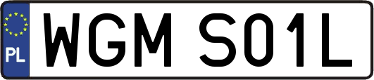 WGMS01L