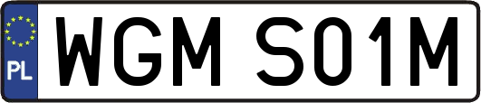 WGMS01M