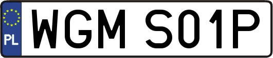 WGMS01P