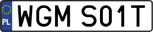 WGMS01T