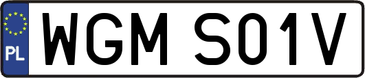 WGMS01V