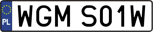 WGMS01W