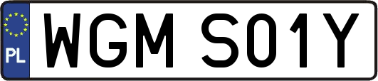 WGMS01Y