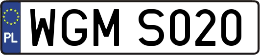 WGMS020
