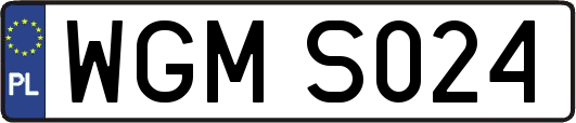 WGMS024