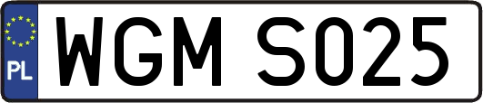 WGMS025