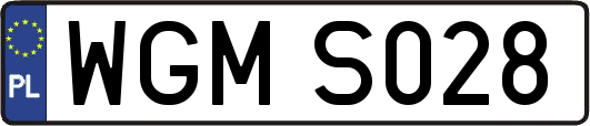 WGMS028