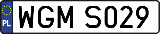 WGMS029