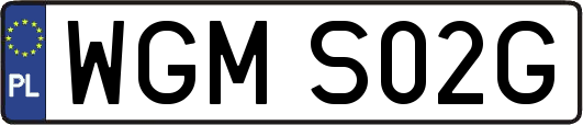 WGMS02G