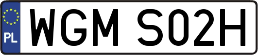 WGMS02H
