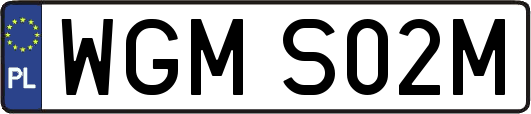 WGMS02M