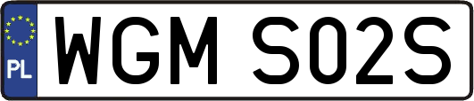 WGMS02S