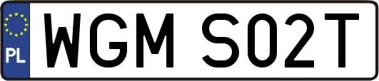 WGMS02T