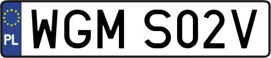 WGMS02V