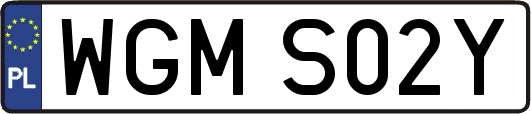 WGMS02Y