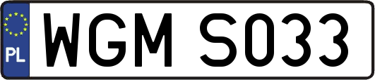 WGMS033