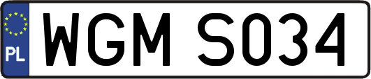 WGMS034