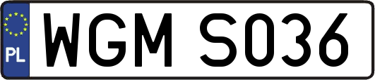 WGMS036