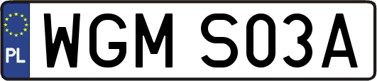 WGMS03A
