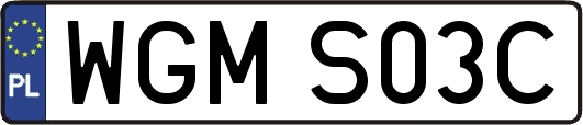 WGMS03C