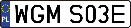 WGMS03E
