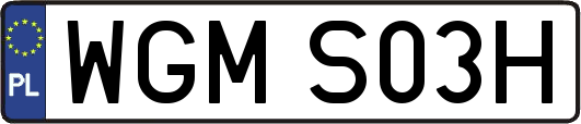WGMS03H