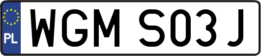 WGMS03J