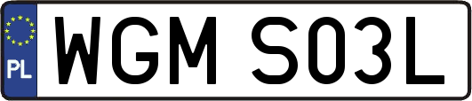 WGMS03L