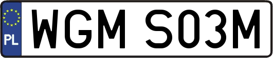 WGMS03M